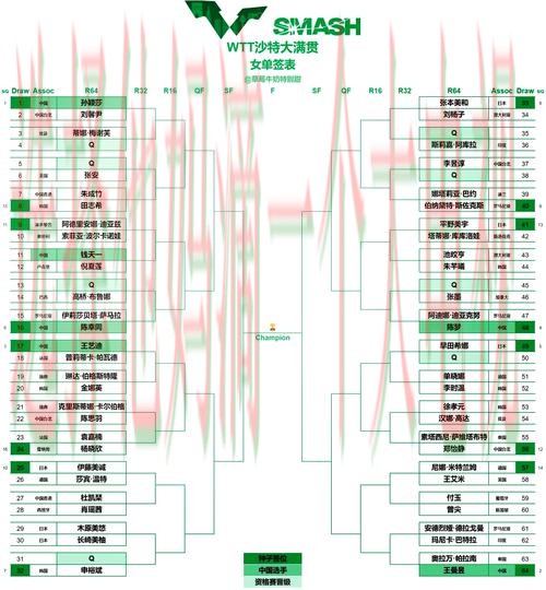 V体育综合版全方位赛事解析 V体育综合版全方位赛事解析