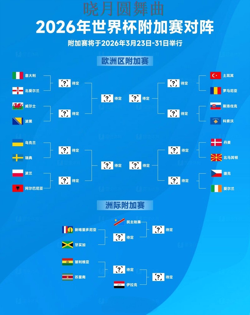 世界杯投注注册热门盘和冷门盘区别在哪，从入门到进阶